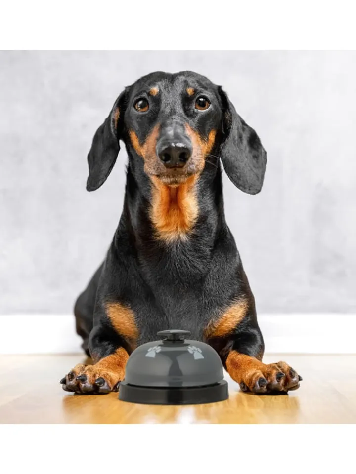 relaxdays Hunde<4 x Haustier Trainingsglocke in Bunt - (H)4,5 x Ø 7 cm