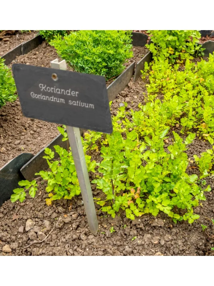relaxdays Gartendekoration<10 x Pflanzenschilder "Schiefer" in Anthrazit