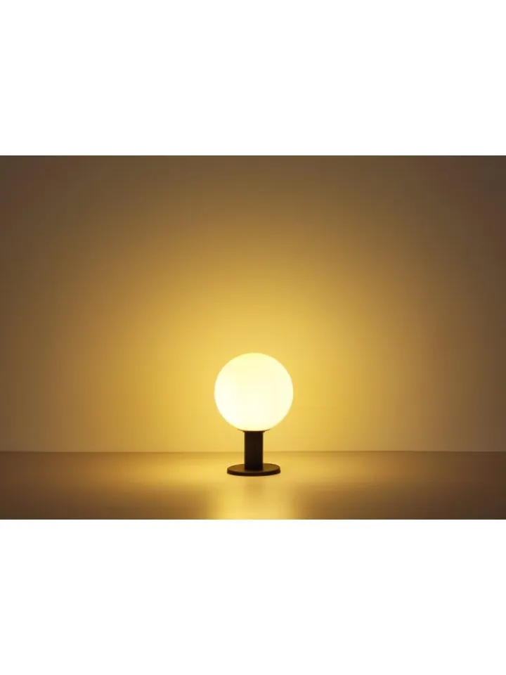Globo lighting Außenleuchten<Außenleuchte "OSSY" in brown
