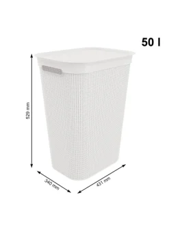 Rotho Wäschekörbe & -Ständer<Brisen Wäschebox 50l mit Deckel und Griffe in Mistelweiß