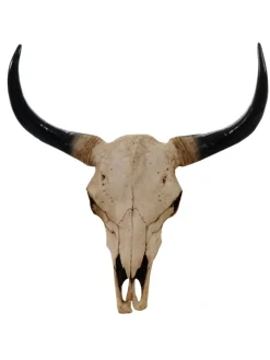 MCW Gartendekoration<Deko Schädel Stier, Natur