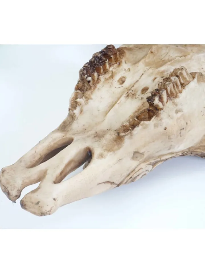 MCW Gartendekoration<Deko Skull Stier
