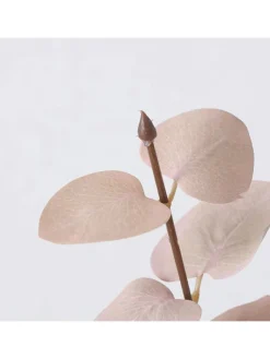 Boltze Kerzen, Vasen & Mehr<Dekozweig "Eukalyptus" in Beige - (H)88 cm