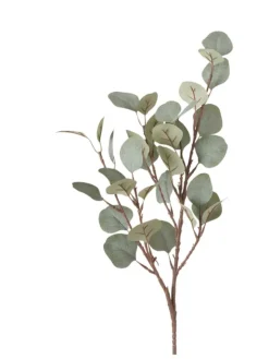 Boltze Kerzen, Vasen & Mehr<Dekozweig "Eukalyptus" in Grün - (L)69 cm