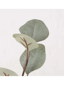 Boltze Kerzen, Vasen & Mehr<Dekozweig "Eukalyptus" in Grün - (L)69 cm