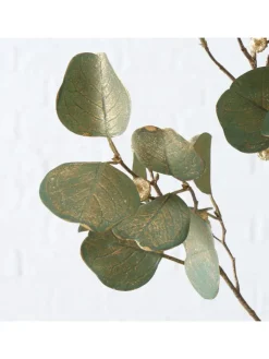 Boltze Kerzen, Vasen & Mehr<Dekozweig "Eukalyptus" in Grün - (B)30 x (H)82 cm