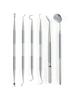 Ailoria Zahn & Mundpflege<DENT DELUXE Zahnpflegeset in silber