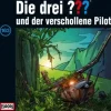 Sony Music Entertainment Hörbücher<Die drei ??? 163 und der verschollene Pilot (drei Fragezeichen) CD