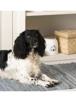 IB Laursen Hunde<Dose für HUNDEFUTTER mit Holzdeckel Weiß 2,2 Liter