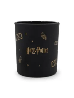 Harry Potter Kerzen, Vasen & Mehr<Duftkerze " Magical Owl" in Schwarz - 135 g