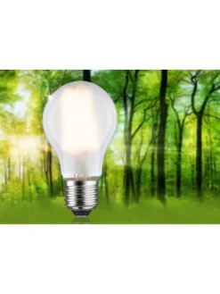 paulmann Leuchtmittel<Eco-Line Filament 230V LED Birne 1er-Set A