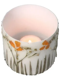 Kersten Pflanzen & Zubehör<3er-Set: Blumentöpfe "Dried Flowers" in Creme - (H)8 x Ø 9 cm