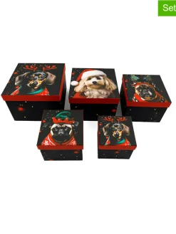 SiL Interiors Partyzubehör & -Dekoration<5er-Set: Geschenkboxen in Bunt