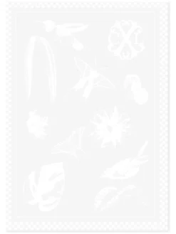 CXL by Christian Lacroix Küchentextilien|Tisch- & Küchentextilien<2er-Set: Geschirrtücher in Weiß