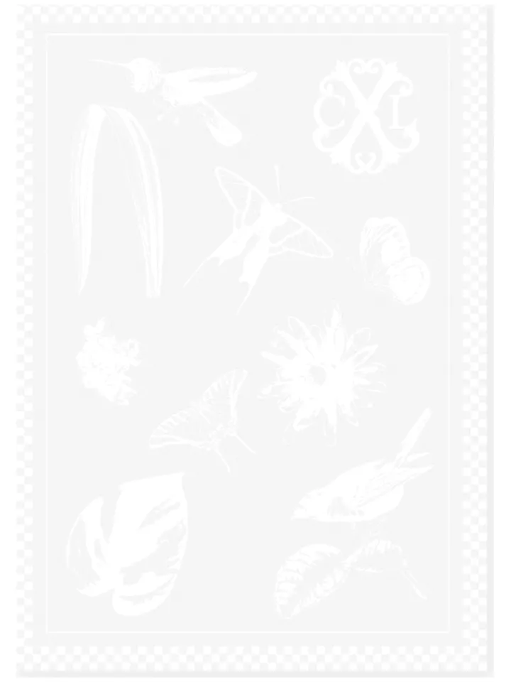CXL by Christian Lacroix Küchentextilien|Tisch- & Küchentextilien<2er-Set: Geschirrtücher in Weiß