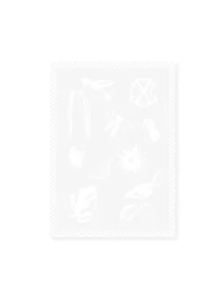 CXL by Christian Lacroix Küchentextilien|Tisch- & Küchentextilien<2er-Set: Geschirrtücher in Weiß