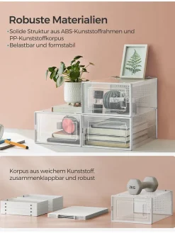 SONGMICS Garderoben<12er-Set: Schuhboxen in Transparent - (B)23 x (H)14,3 x (T)33,5 cm