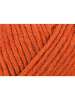 Schachenmayr since 1822 Kreativbedarf & Do-It-Yourself<10er-Set: Wollgarne ''Wash+Filz-it!'' in Orange - 10x 50 g