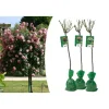 GARDENZO Pflanzen & Zubehör<3er-Set: XXL Großblütige Stielrosen in Weiß/ Rot/ Rosa