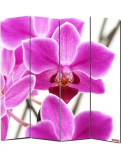 MCW Paravents<Foto-Paravent Bagheria, 180x160cm, Orchidee