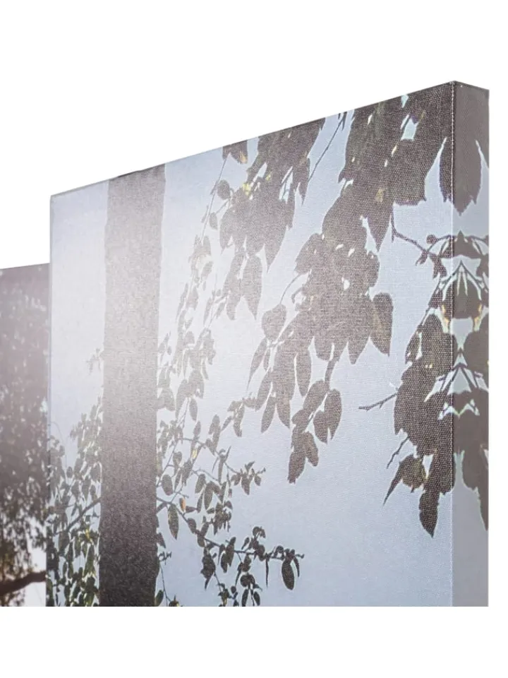 MCW Paravents<Foto-Paravent mit Schallschutz L55, 180x122cm Waldsee