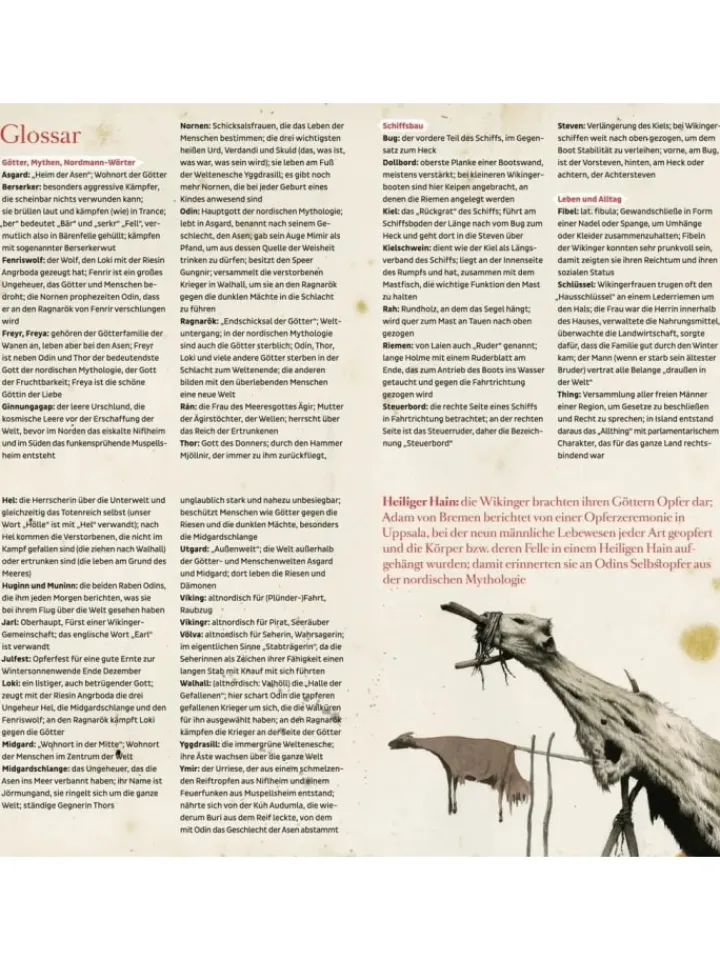 ultramar media Hörbücher<Fred bei den Wikingern | Jarl Ragnalds Vermächtnis