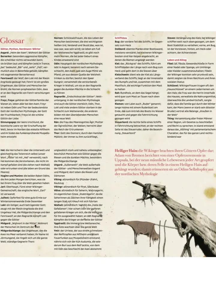 ultramar media Hörbücher<Fred bei den Wikingern | Jarl Ragnalds Vermächtnis