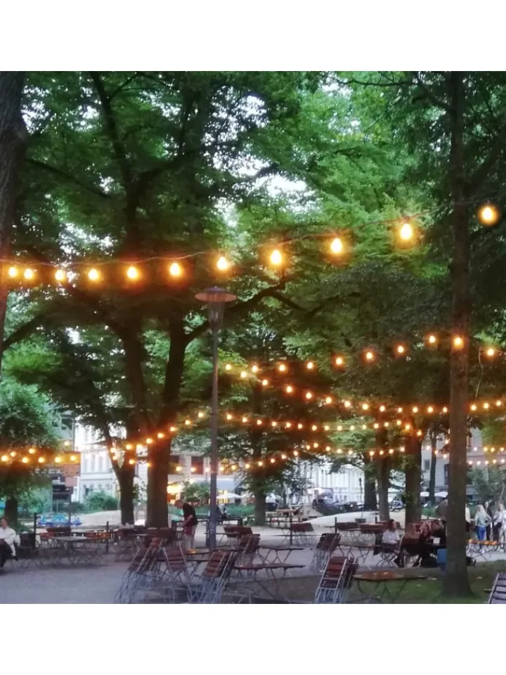 SATISFIRE Lichterketten & Dekobeleuchtung<Garten Party Lichterkette Illu 10x dimmbare Glühbirne 5m grün