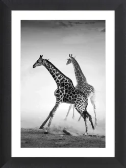 Ars Longa Wanddekoration<Gerahmter Kunstdruck "Running Giraffes" - (L)70 x (B)50 cm