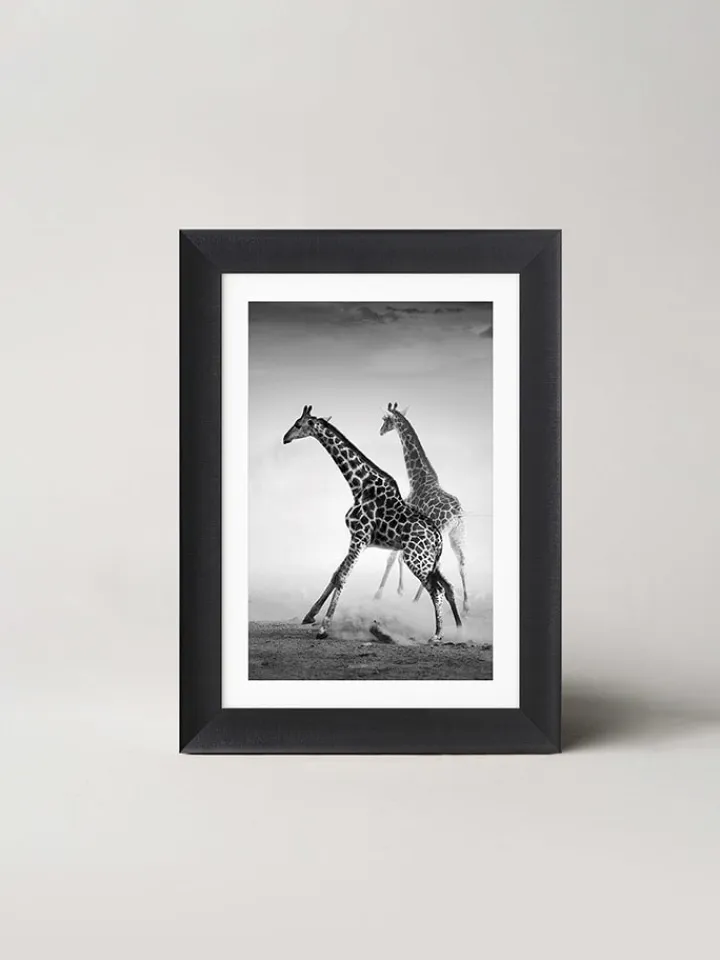 Ars Longa Wanddekoration<Gerahmter Kunstdruck "Running Giraffes" - (L)70 x (B)50 cm