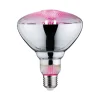paulmann Leuchtmittel<Grow Green Edition Filament 230V LED Reflektor