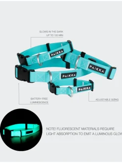 Paikka Hunde<Halsband "Glow" in Türkis