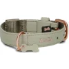Zwei Hunde<Halsband in Hellgrün - (L)38 cm