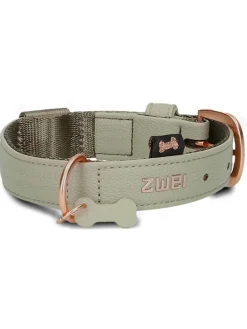 Zwei Hunde<Halsband in Hellgrün - (L)38 cm