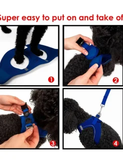 Paws&Whiskers Hunde<Hundegeschirr in Blau