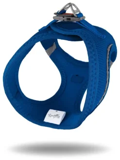 Paws&Whiskers Hunde<Hundegeschirr in Blau
