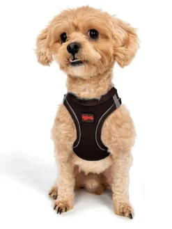 Paws&Whiskers Hunde<Hundegeschirr in Braun