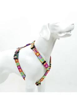 Paws&Whiskers Hunde<Hundegeschirr in Bunt