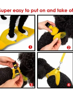 Paws&Whiskers Hunde<Hundegeschirr in Gelb