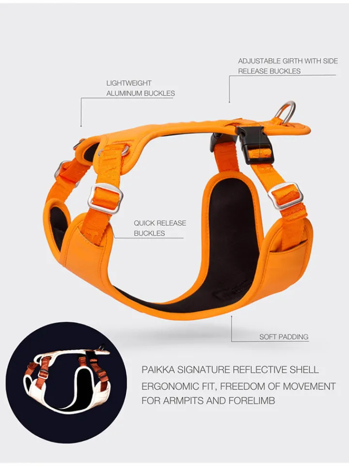 Paikka Hunde<Hundegeschirr in Orange