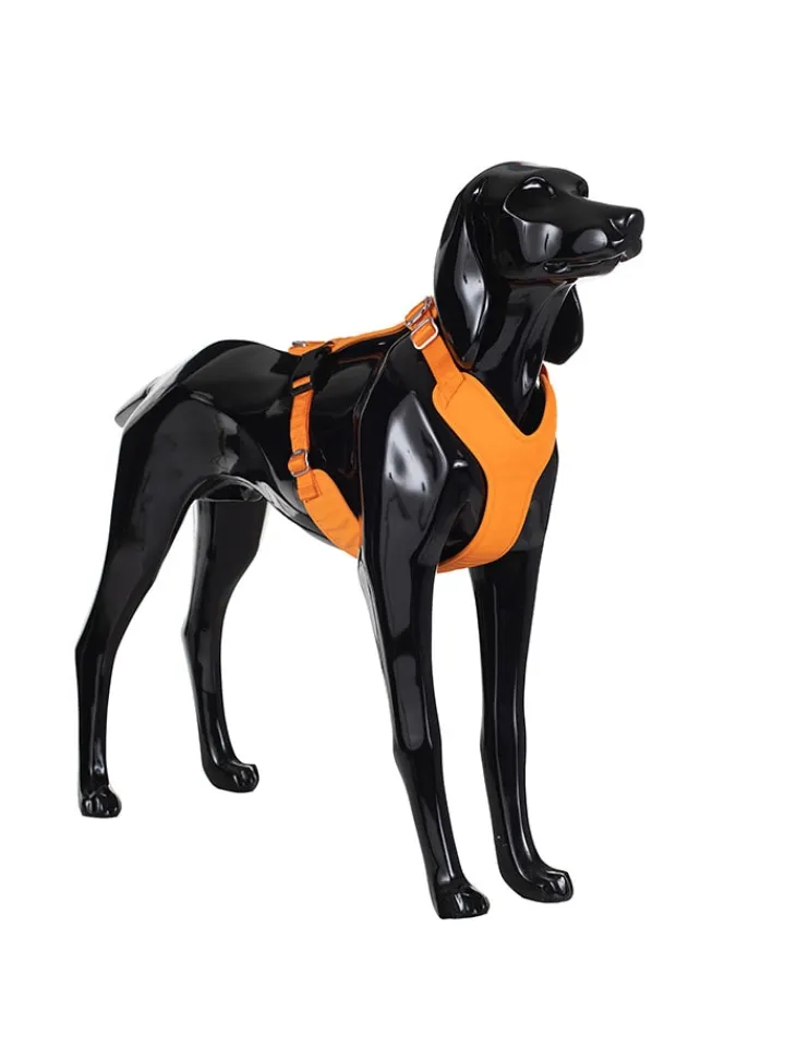Paikka Hunde<Hundegeschirr in Orange