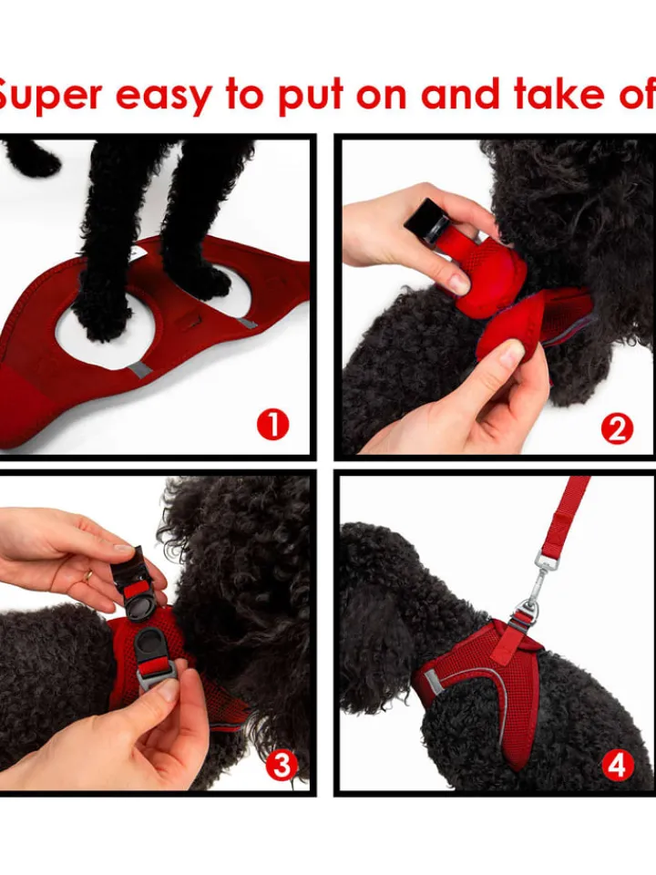 Paws&Whiskers Hunde<Hundegeschirr in Rot