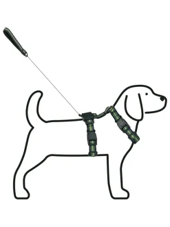 Edco Hunde<Hundegeschirr in Schwarz/ Grün
