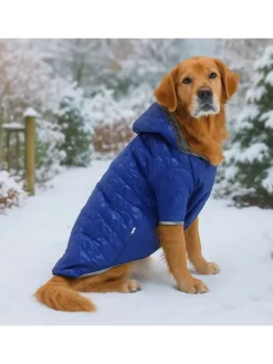 Paws&Whiskers Hunde<Hundehoodie in Blau