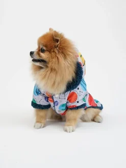 Paws&Whiskers Hunde<Hundehoodie in Bunt