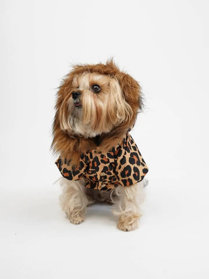 Paws&Whiskers Hunde<Hundehoodie in Hellbraun