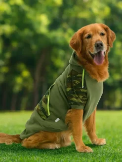 Paws&Whiskers Hunde<Hundehoodie in Khkai