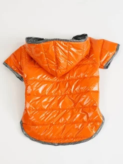 Paws&Whiskers Hunde<Hundehoodie in Orange