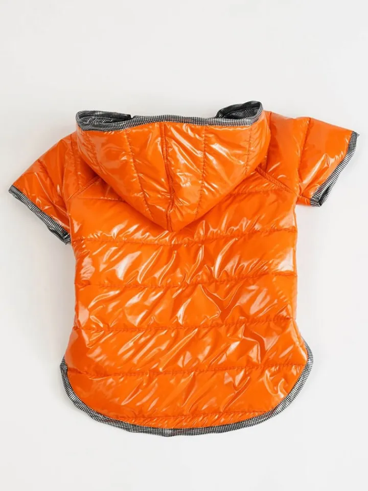 Paws&Whiskers Hunde<Hundehoodie in Orange