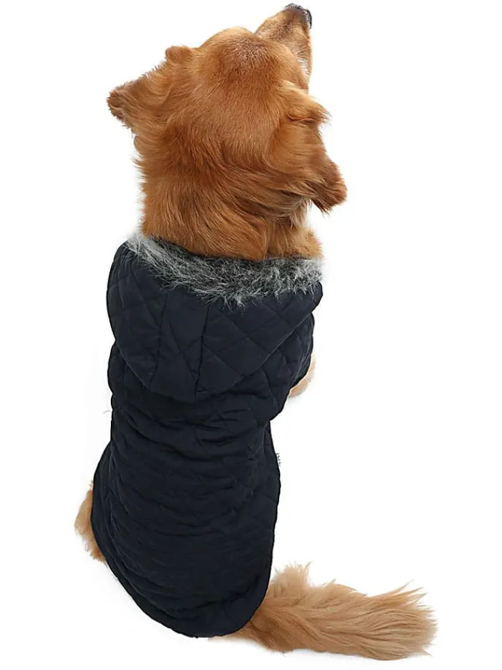 Paws&Whiskers Hunde<Hundehoodie in Schwarz